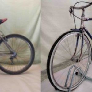 Bologna, stavolta l'asta di biciclette è online