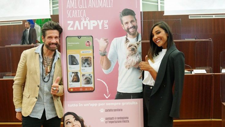 Animali: a Milano presentata ZampyLife, l'app per contrastare il randagismo