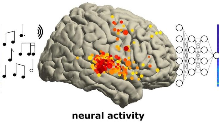 Il cervello suona il rock. Ricreato The Wall con l’attività elettrica dei neuroni