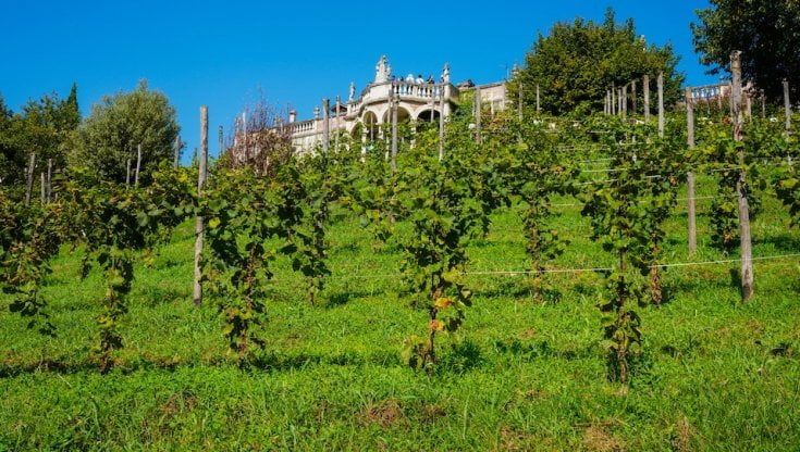 Montelvini racconta gli Asolani, personaggi illustri di un borgo dove il vino è storia 