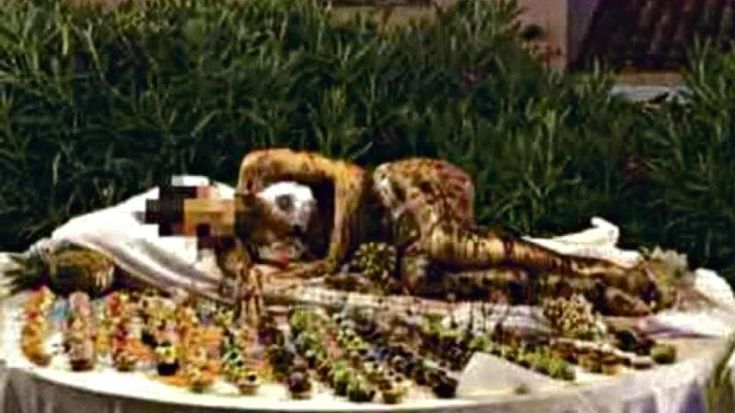 Nell’hotel che ha esposto la ragazza sul vassoio: “Ma è un’opera d’arte”