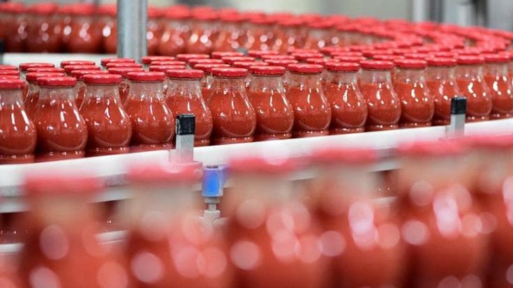 Dal clima all’Egitto minacce al pomodoro