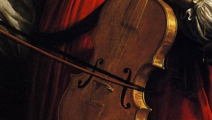 La battaglia del pernambuco: l’albero minacciato di estinzione “indispensabile” per i musicisti