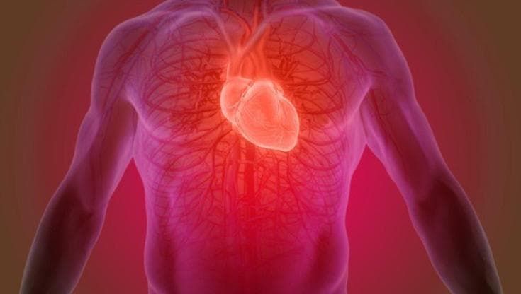Angioplastica di precisione, spazio ai test mirati che studiano il calcio nelle arterie