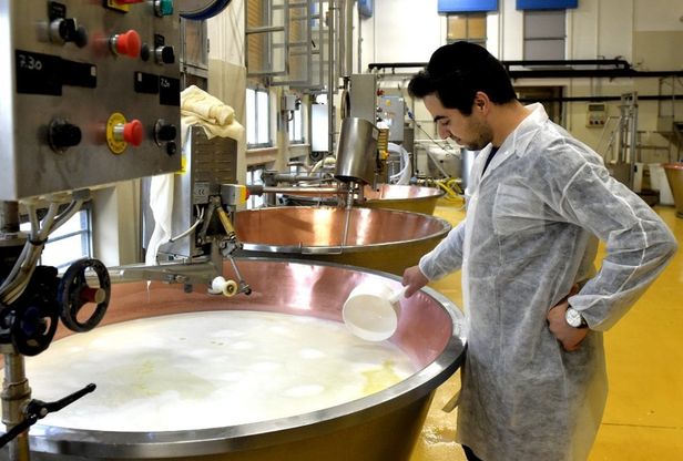 Parma, nel caseificio dove il Parmigiano è solo Kasher - Foto 