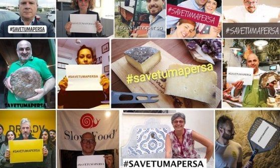La tuma persa “ritrovata” grazie alla solidarietà