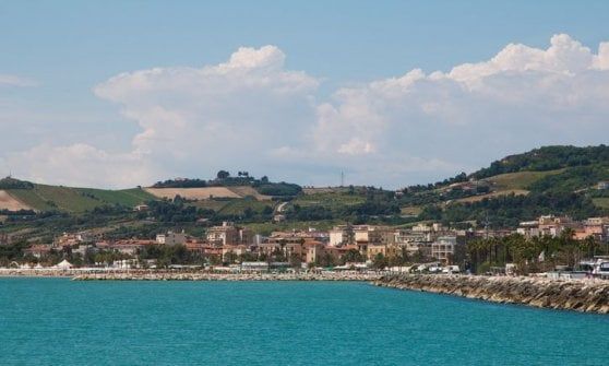 I numeri di Conad Adriatico 