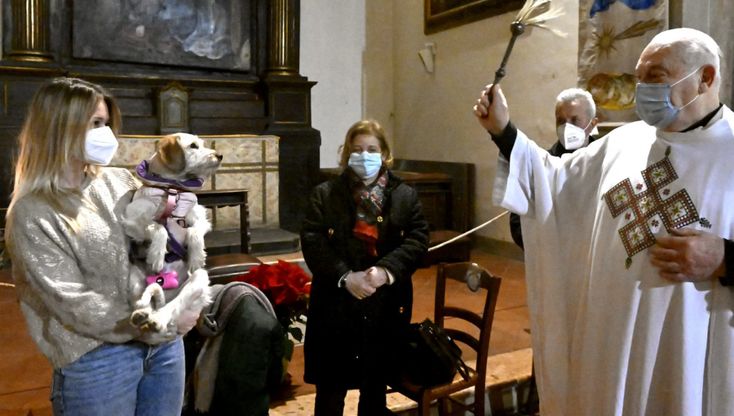 Cani e gatti in chiesa: c'è la benedizione nella ricorrenza di Sant'Antonio Abate