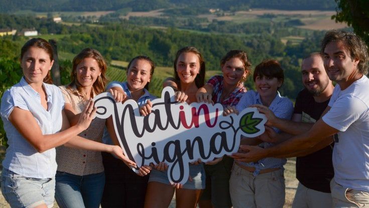 Natinvigna, i giovani vignaioli del Piemonte giocano in squadra