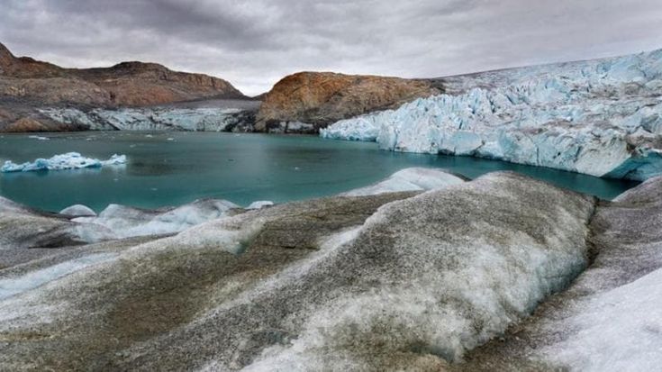 Mappato il genoma dello squalo della Groenlandia: può vivere fino a 400 anni, studiosi alla ricerca del segreto della sua longevità