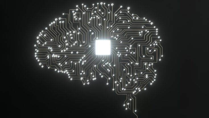 Ciak, si gira. Ecco il film del cervello