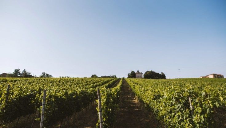 Tour enogastronomico sulle colline tortonesi