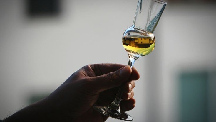 Grappa e giovani: un Millennial su due la beve di frequente per la sua convivialità