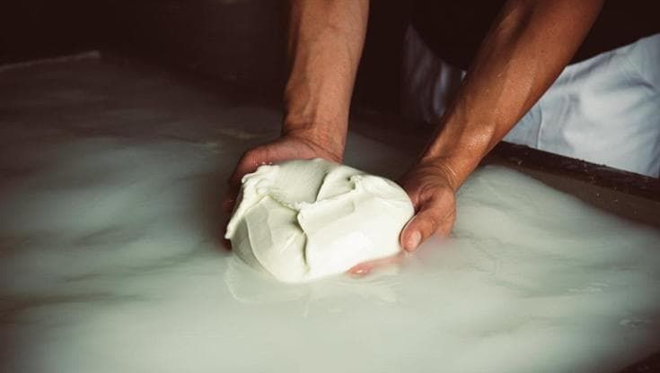 Alla ricerca della mozzarella di bufala perfetta: gli indirizzi da scoprire tra Caserta e Salerno