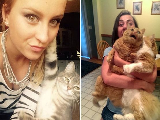 Baci e abbracci: quando il gatto non gradisce