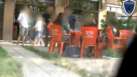 Al bar o ad allevare bovini, blitz contro i furbetti del cartellino nel Milanese: uno ai domiciliari 