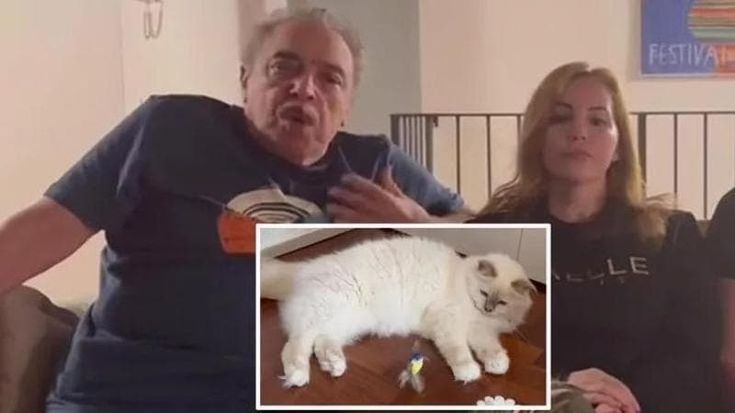 Nino Frassica e la scomparsa del suo gatto Hiro: i vicini lo denunciano e lui finisce nel registro degli indagati
