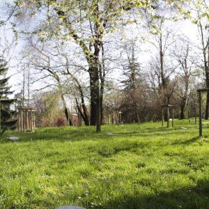 Non paghi le tasse? Pulisci il giardino .Cna a Nardella  "Introduci il baratto"