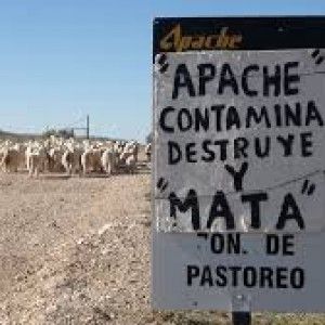 Argentina, laboratorio mondiale per test di nuove politiche coloniali, obiettivo: depredare risorse alimentari&nbsp;