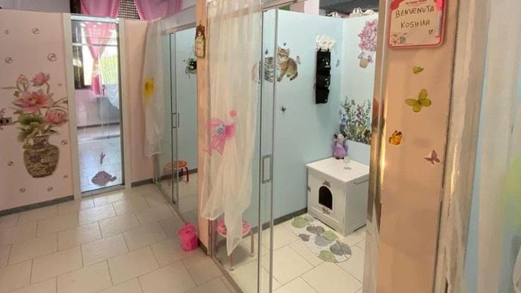 Apre a Ozzero un ricovero di lusso gratuito dei gatti per quando i padroni vanno in ospedale