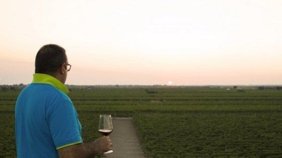 Dal vino sfuso alla cantina del Papa, la straordinaria parabola del Primitivo di Erminio Campa