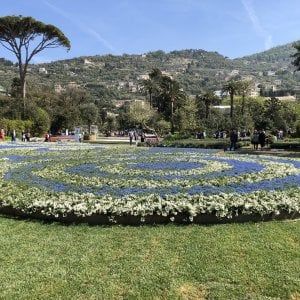 Euroflora: Bucci, "Potremmo alternarla con i balletti"