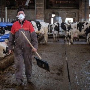 Coronavirus, la bozza del decreto: sanzioni a chi applica prezzi superiori al triplo del listino 