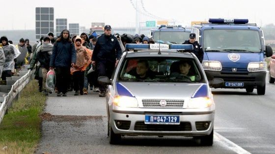 Serbia, centinaia di migranti in marcia sotto la pioggia verso la Croazia: "Aprite le frontiere"