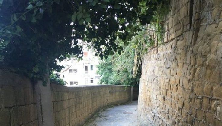 Un esploratore a Salita Villanova
