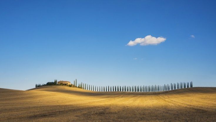 Comprare un terreno online? Da oggi è possibile. Assistiti passo dopo passo