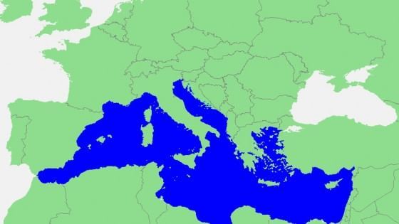 I mari europei non sono in salute, lo sfruttamento è insostenibile