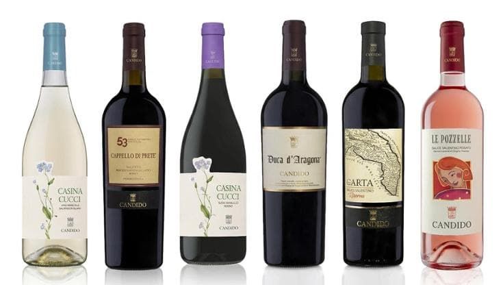 Il pioniere che iniziò a imbottigliare i vini del Salento, e l’epigono che resuscita la sua cantina