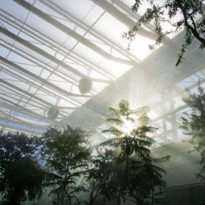 Padova, l'orto botanico dei record: sostenibilit&agrave;, ricerca e aggregazione urbana