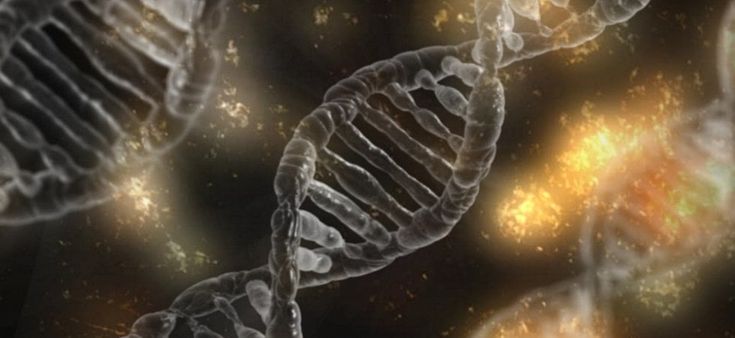 Cancro al seno, quel “numero” che suggerisce la terapia