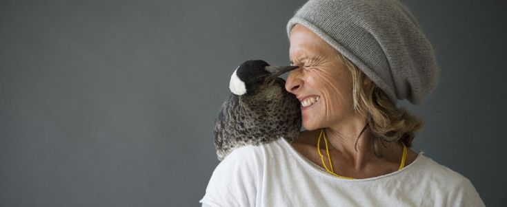 Quella gazza ladra che ha restituito gioia a casa Bloom