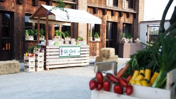 Torino: se l'orto è Korto, verdure e ortaggi diventano social (anche grazie alla tecnologia)