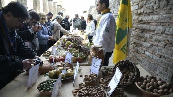 Nei consumi alimentari cresce il bio, calano carne e alcol