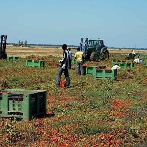 Ragusa, contratti fasulli per ottenere il permesso di soggiorno: 5 indagati