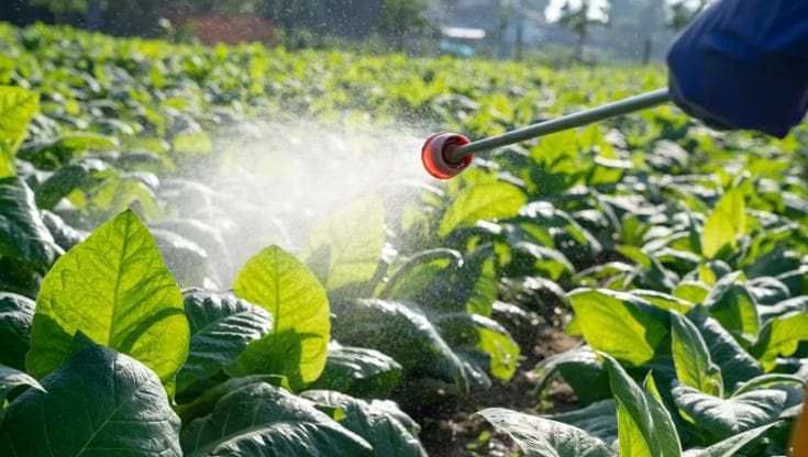 Pesticidi e biocidi, l’Europa vuole semplificare le regole. Mettendo a rischio la nostra salute