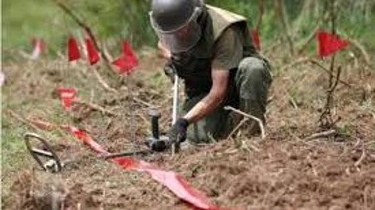 Mine anti uomo, la Croazia completa la bonifica di tutto il territorio