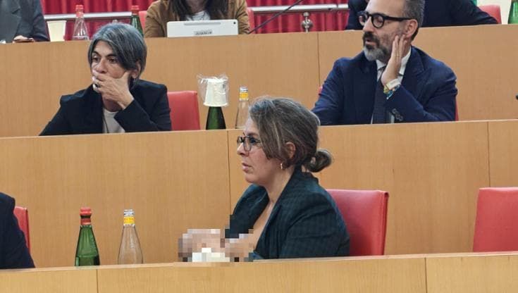 In Puglia l’assessora Leuzzi allatta il piccolo Enea durante la seduta del consiglio regionale