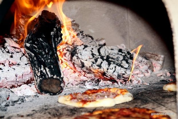 Le sagre d'estate. Le foto dei lettori