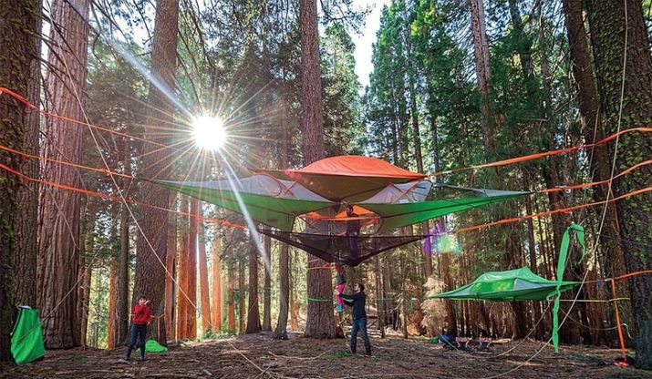 Sospesi nel bosco: in campeggio con la tenda-amaca