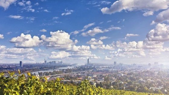 Vigne sì, ma in città: da Vienna a Parigi, da Torino a Roma, ecco i filari tra le case