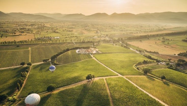 Vino, Arnaldo Caprai presenta il primo bilancio di sostenibilità