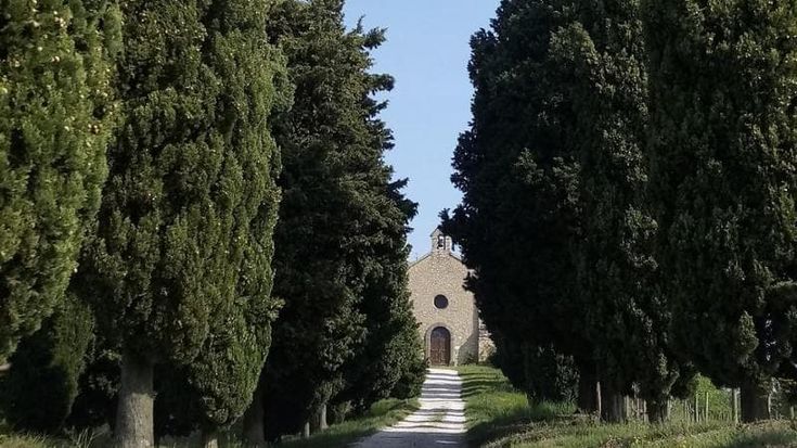 Grumello del Monte, sette minorenni vandalizzano la chiesetta del Calvario e si filmano: denunciati