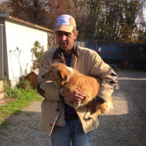 Gallarate, 70 euro in prestito per 'riscattare' il cane: il clochard vince la sua battaglia