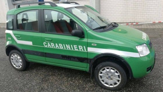Traffico di rifiuti da Brescia al nord Africa: un arresto