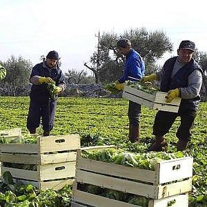Crolla l'export: a luglio vendite in calo del 7,3%