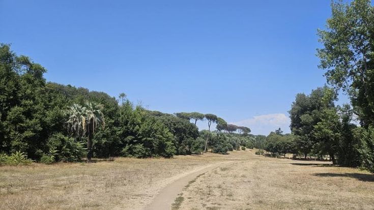 Il caldo, da villa Ada a Pamphili: dopo 45 giorni di siccità la grande sete dei parchi